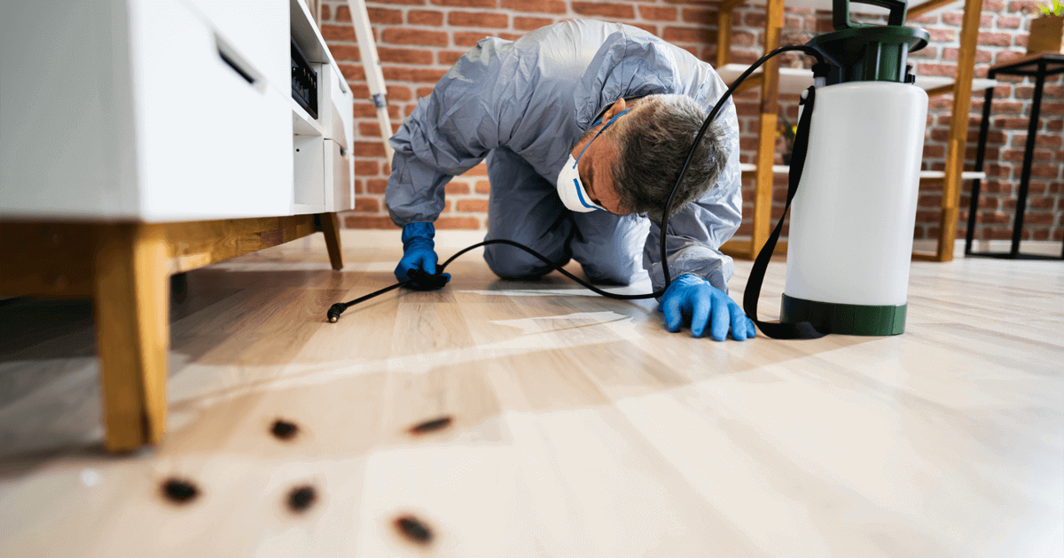 Servicio de exterminador residencial
